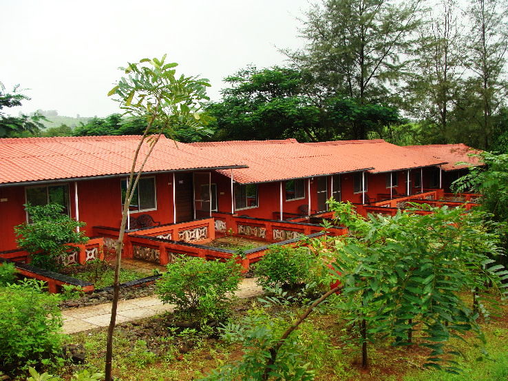 6. Wild Camp Resort